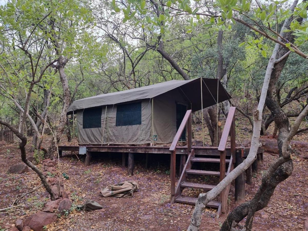Waterfall Safari Lodge Winterkamp Dış mekan fotoğraf